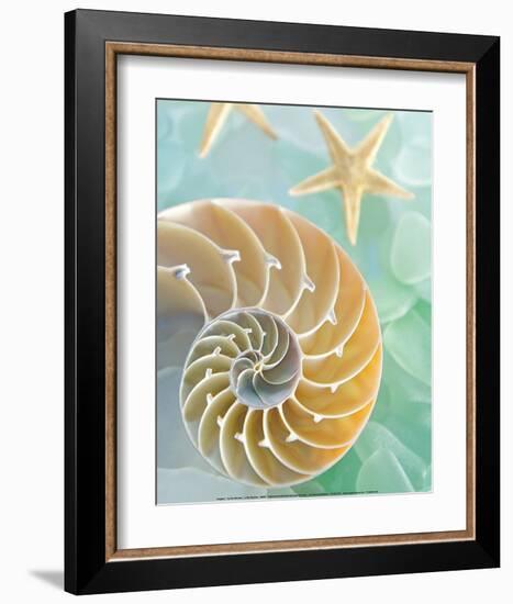 Seaglass 2-Alan Blaustein-Framed Art Print