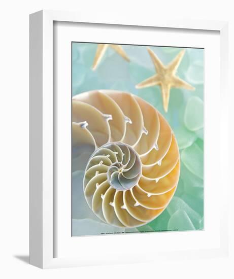 Seaglass 2-Alan Blaustein-Framed Art Print