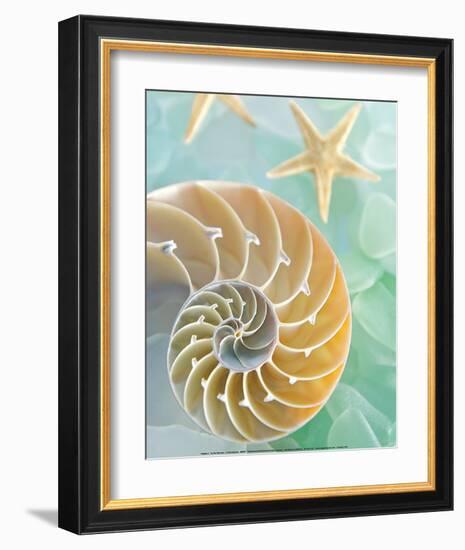 Seaglass 2-Alan Blaustein-Framed Art Print