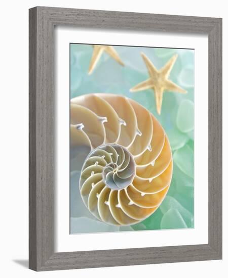 Seaglass 2-Alan Blaustein-Framed Photographic Print