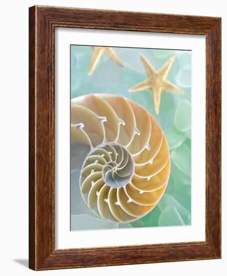 Seaglass 2-Alan Blaustein-Framed Photographic Print