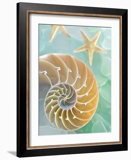 Seaglass 2-Alan Blaustein-Framed Photographic Print