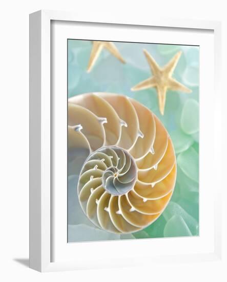 Seaglass 2-Alan Blaustein-Framed Photographic Print