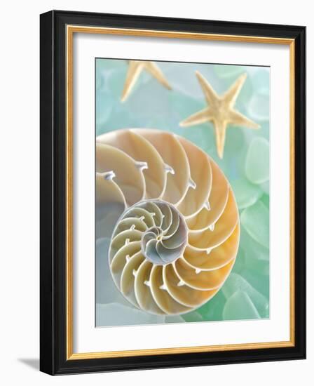 Seaglass 2-Alan Blaustein-Framed Photographic Print