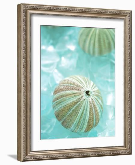 Seaglass 4-Alan Blaustein-Framed Photographic Print