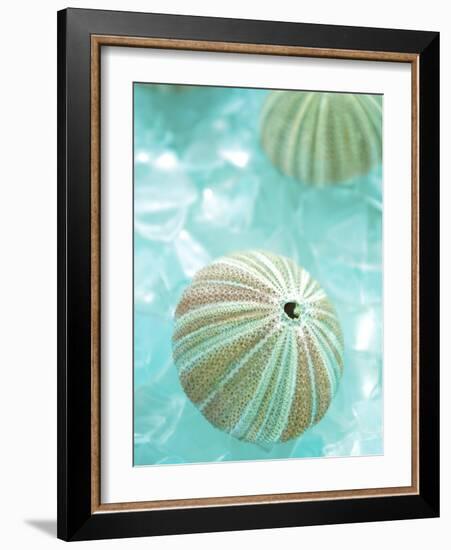 Seaglass 4-Alan Blaustein-Framed Photographic Print