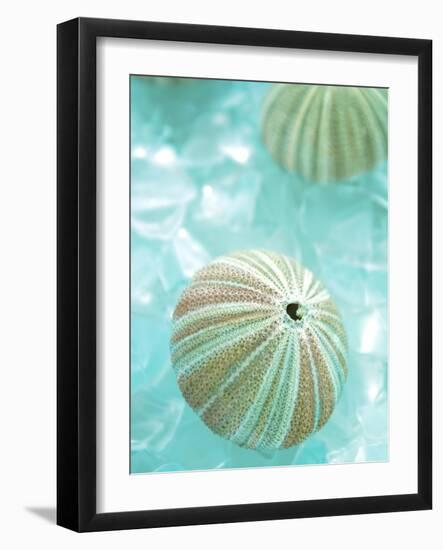 Seaglass 4-Alan Blaustein-Framed Photographic Print