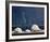 Seaglass and Shells-Daniel Pollera-Framed Art Print