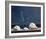 Seaglass and Shells-Daniel Pollera-Framed Art Print