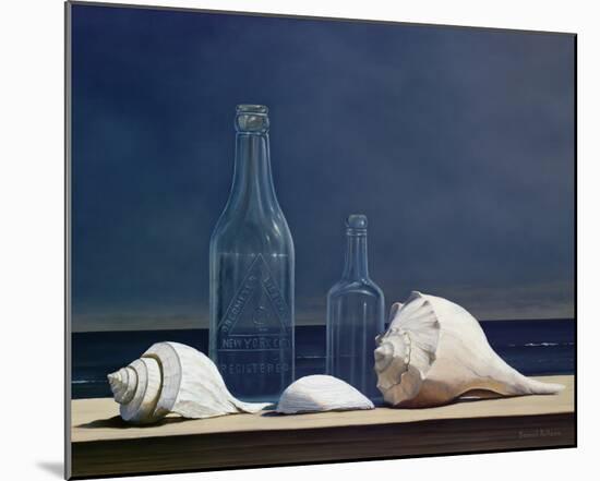 Seaglass and Shells-Daniel Pollera-Mounted Art Print