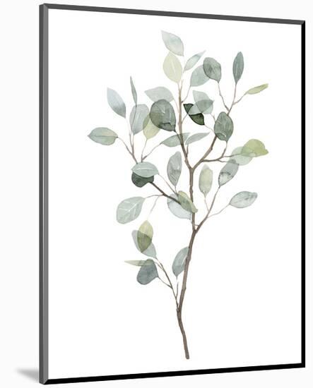 Seaglass Eucalyptus I-Grace Popp-Mounted Art Print