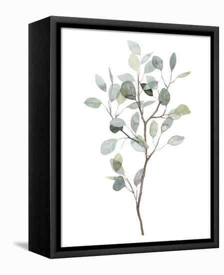 Seaglass Eucalyptus I-Grace Popp-Framed Stretched Canvas
