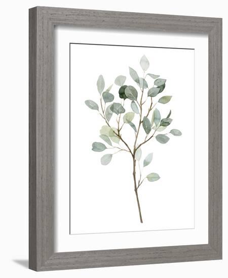 Seaglass Eucalyptus II-Grace Popp-Framed Art Print