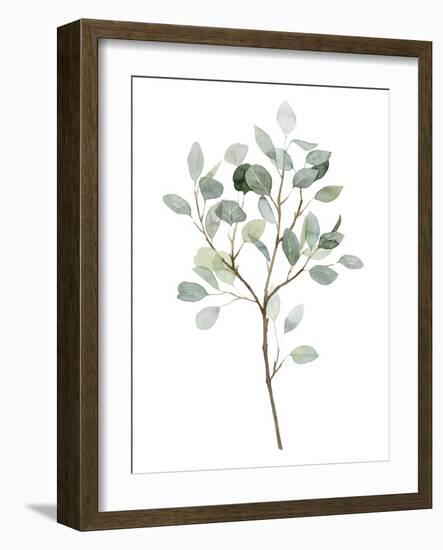 Seaglass Eucalyptus II-Grace Popp-Framed Art Print