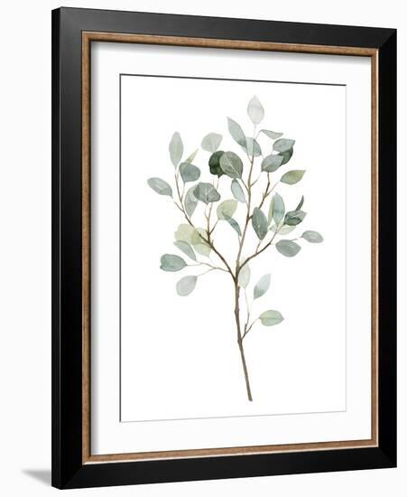 Seaglass Eucalyptus II-Grace Popp-Framed Art Print