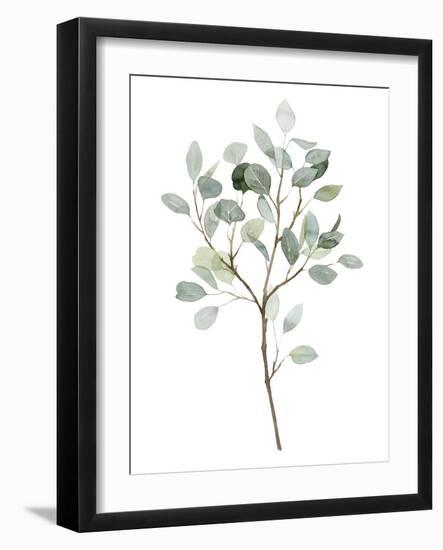 Seaglass Eucalyptus II-Grace Popp-Framed Art Print