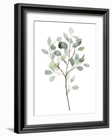 Seaglass Eucalyptus II-Grace Popp-Framed Art Print