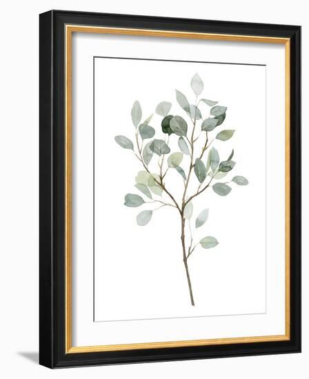 Seaglass Eucalyptus II-Grace Popp-Framed Art Print