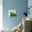 Seaglass Shell-Kari Taylor-Giclee Print displayed on a wall