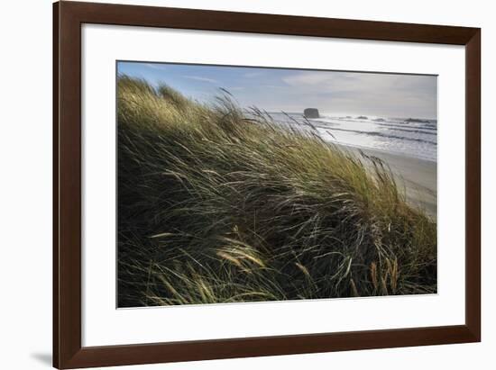 Seagrass-Andrew Geiger-Framed Giclee Print