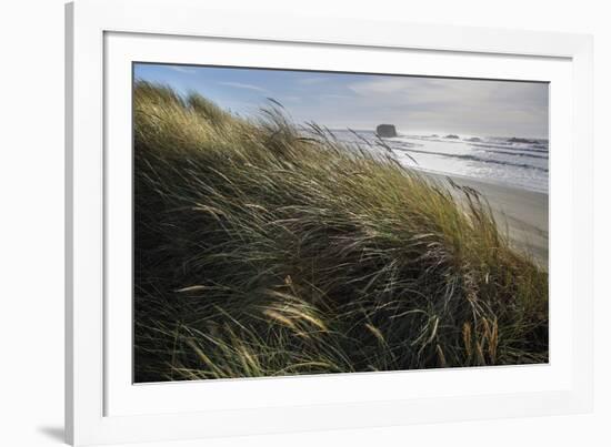 Seagrass-Andrew Geiger-Framed Giclee Print