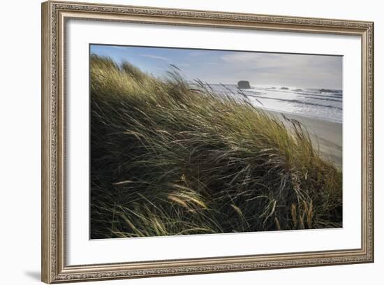 Seagrass-Andrew Geiger-Framed Art Print