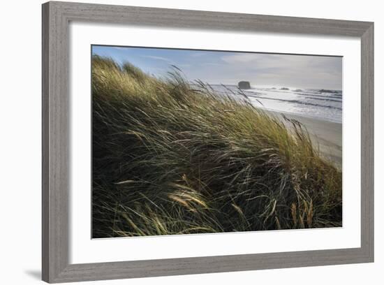 Seagrass-Andrew Geiger-Framed Art Print