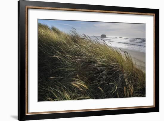 Seagrass-Andrew Geiger-Framed Art Print