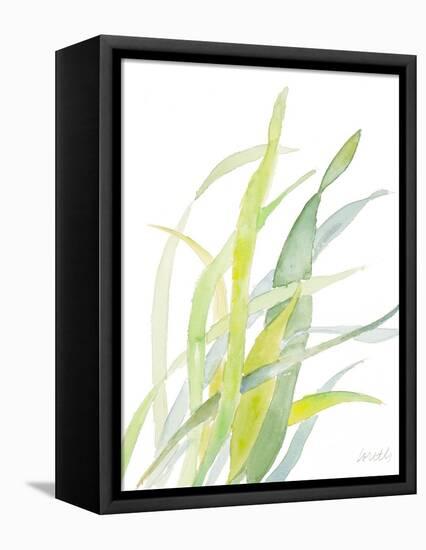 Seagrasses and Eelgrasses II-Lanie Loreth-Framed Stretched Canvas