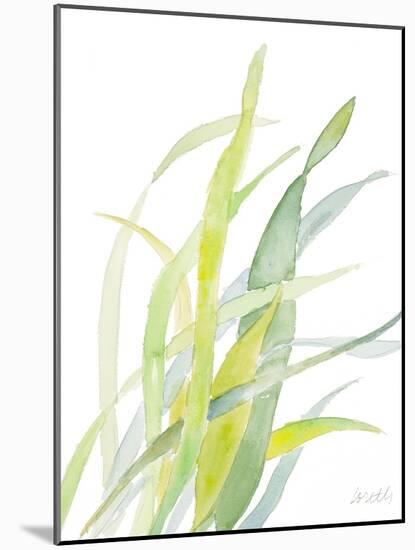 Seagrasses and Eelgrasses II-Lanie Loreth-Mounted Art Print