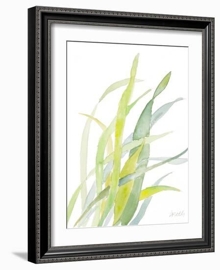 Seagrasses and Eelgrasses II-Lanie Loreth-Framed Art Print