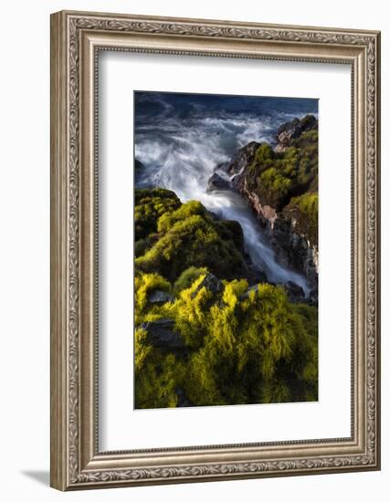 Seagrasses exposed at low tide, Isaac Hale Beach Park, Hawaii-Maresa Pryor-Framed Photographic Print