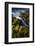 Seagrasses exposed at low tide, Isaac Hale Beach Park, Hawaii-Maresa Pryor-Framed Photographic Print