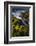 Seagrasses exposed at low tide, Isaac Hale Beach Park, Hawaii-Maresa Pryor-Framed Photographic Print