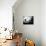 Seagul in flight over Lake Michigan beach, Indiana Dunes, Indiana, USA-Anna Miller-Photographic Print displayed on a wall