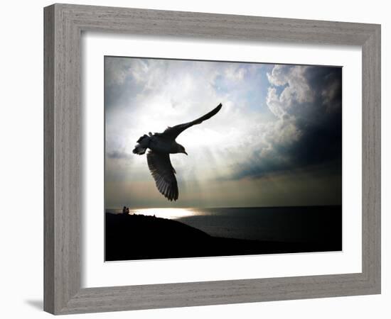 Seagul in flight over Lake Michigan beach, Indiana Dunes, Indiana, USA-Anna Miller-Framed Photographic Print