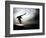 Seagul in flight over Lake Michigan beach, Indiana Dunes, Indiana, USA-Anna Miller-Framed Photographic Print