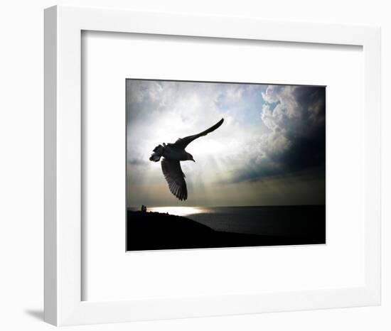 Seagul in flight over Lake Michigan beach, Indiana Dunes, Indiana, USA-Anna Miller-Framed Photographic Print