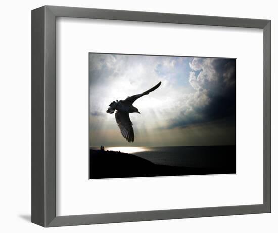 Seagul in flight over Lake Michigan beach, Indiana Dunes, Indiana, USA-Anna Miller-Framed Photographic Print