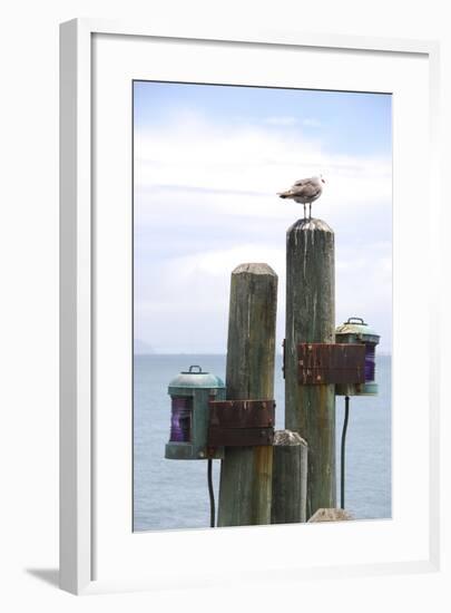 Seagul on Sausalito Pier, Marin County, California-Anna Miller-Framed Photographic Print