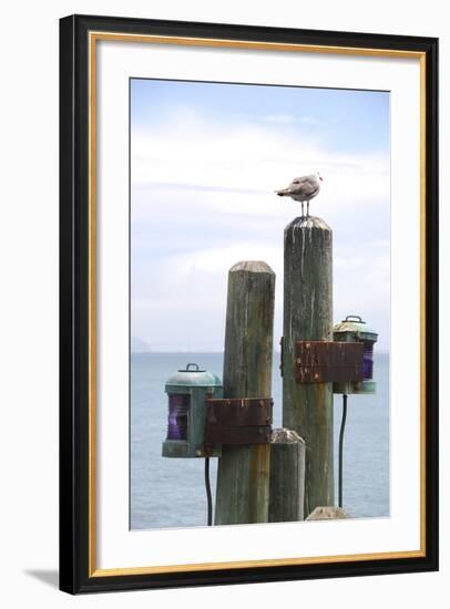 Seagul on Sausalito Pier, Marin County, California-Anna Miller-Framed Photographic Print