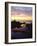 Seagull at Sunset Cliffs Tidepools on the Pacific Ocean, San Diego, California, USA-Christopher Talbot Frank-Framed Photographic Print