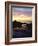 Seagull at Sunset Cliffs Tidepools on the Pacific Ocean, San Diego, California, USA-Christopher Talbot Frank-Framed Photographic Print