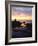 Seagull at Sunset Cliffs Tidepools on the Pacific Ocean, San Diego, California, USA-Christopher Talbot Frank-Framed Photographic Print