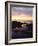 Seagull at Sunset Cliffs Tidepools on the Pacific Ocean, San Diego, California, USA-Christopher Talbot Frank-Framed Photographic Print