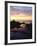 Seagull at Sunset Cliffs Tidepools on the Pacific Ocean, San Diego, California, USA-Christopher Talbot Frank-Framed Photographic Print