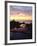 Seagull at Sunset Cliffs Tidepools on the Pacific Ocean, San Diego, California, USA-Christopher Talbot Frank-Framed Photographic Print