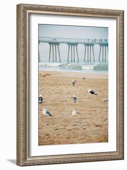 Seagull Coast-Bill Carson Photography-Framed Art Print