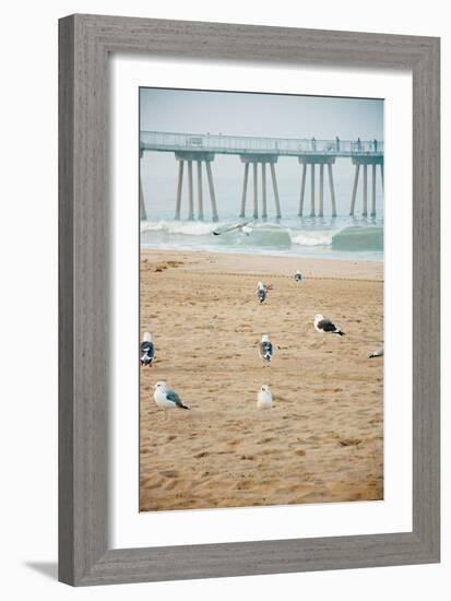 Seagull Coast-Bill Carson Photography-Framed Art Print