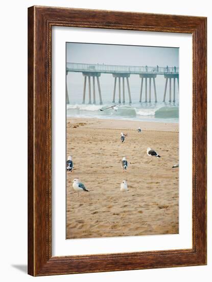 Seagull Coast-Bill Carson Photography-Framed Art Print